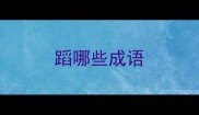蹈哪些成语