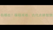 带稼的成语有哪些稼穑艰难古代农耕智慧的现代启示