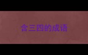 含三四的成语