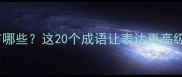 形容极致的成语有哪些这20个成语让表达更高级附使用场景