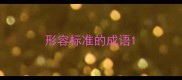 形容标准的成语
