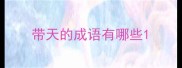 带天的成语有哪些