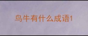 鸟牛有什么成语