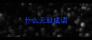 什么无耻成语