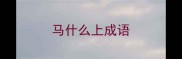 马什么上成语