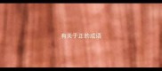 有关于正的成语