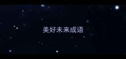 美好未来成语