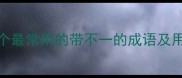 10个最常用的带不一的成语及用法