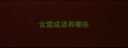 含盟成语有哪些