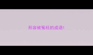 形容被冤枉的成语