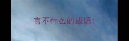 言不什么的成语