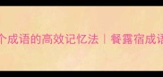 30天掌握1000个成语的高效记忆法餐露宿成语的正确打开方式