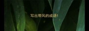 写出带风的成语