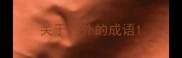 关于内外的成语
