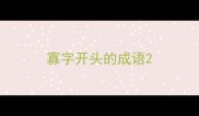 寡字开头的成语