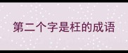 第二个字是枉的成语