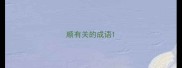 顺有关的成语