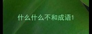 什么什么不和成语
