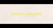 成语什么什么冠什么意思