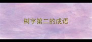 树字第二的成语