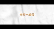 命打一成语