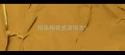 相亲相爱成语接龙