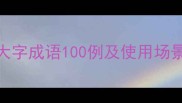 大字开头的成语有哪些常见大字成语100例及使用场景深度附四字五字成语分类