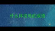 什么体投地的成语