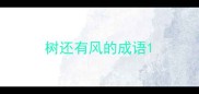 树还有风的成语