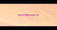 翁成语有哪些成语大全