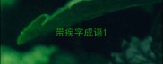 带疾字成语