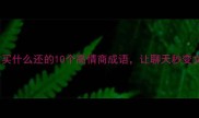 谐音梗大赏买什么还的10个高情商成语让聊天秒变文化人