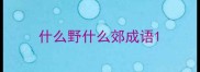什么野什么郊成语