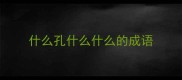 什么孔什么什么的成语