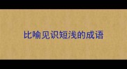 比喻见识短浅的成语