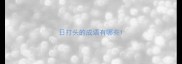 日打头的成语有哪些