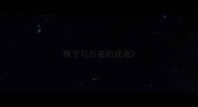 猴子与月亮的成语