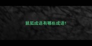 鼠狐成语有哪些成语