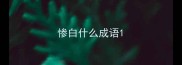 惨白什么成语
