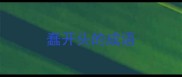 蠢开头的成语