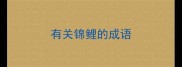 有关锦鲤的成语