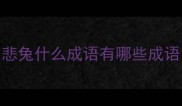 悲兔什么成语有哪些成语