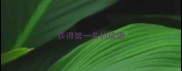 获得第一名的成语