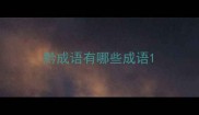 黔成语有哪些成语