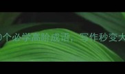 程度深到爆炸20个必学高阶成语写作秒变大神附避坑指南