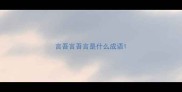 言吾言吾言是什么成语