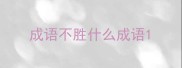 成语不胜什么成语