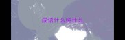 成语什么纯什么