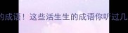 30个自带BGM的成语这些活生生的成语你听过几个学习干货