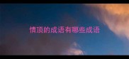 情顶的成语有哪些成语